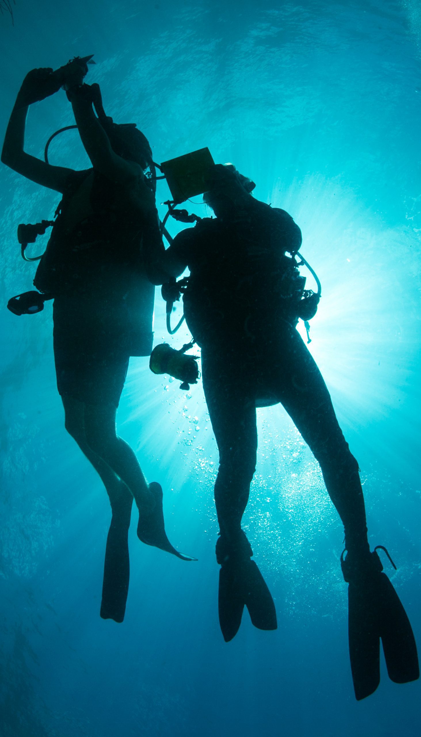 College of Charleston Marine Biology Shoot
